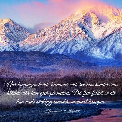 Picture 03 - 2 Kungaboken 6:30 SV1917 - När konungen hörde kvinnans ord, rev han - Bible Verse Picture