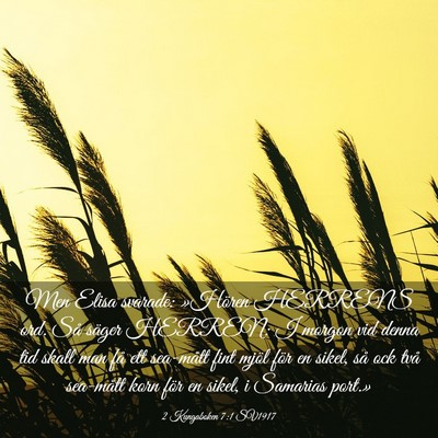 Picture 03 - 2 Kungaboken 7:1 SV1917 - Men Elisa svarade: »Hören HERRENS ord. Så - Bible Verse Picture