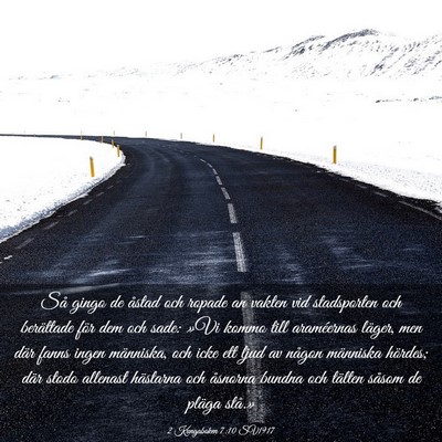 Picture 03 - 2 Kungaboken 7:10 SV1917 - Så gingo de åstad och ropade an vakten vid - Bible Verse Picture