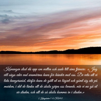 Picture 03 - 2 Kungaboken 7:12 SV1917 - Konungen stod då upp om natten och sade till - Bible Verse Picture
