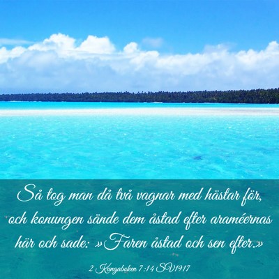 Picture 03 - 2 Kungaboken 7:14 SV1917 - Så tog man då två vagnar med hästar för, och - Bible Verse Picture