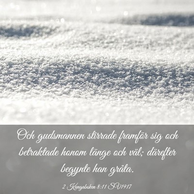 Picture 03 - 2 Kungaboken 8:11 SV1917 - Och gudsmannen stirrade framför sig och - Bible Verse Picture