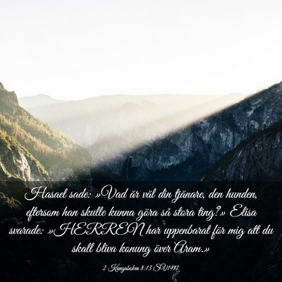 Picture 03 - 2 Kungaboken 8:13 SV1917 - Hasael sade: »Vad är väl din tjänare, den - Bible Verse Picture