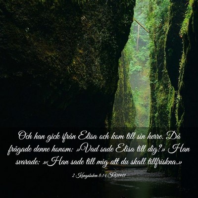 Picture 03 - 2 Kungaboken 8:14 SV1917 - Och han gick ifrån Elisa och kom till sin herre. - Bible Verse Picture