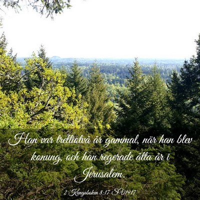 Picture 03 - 2 Kungaboken 8:17 SV1917 - Han var trettiotvå år gammal, när han blev - Bible Verse Picture