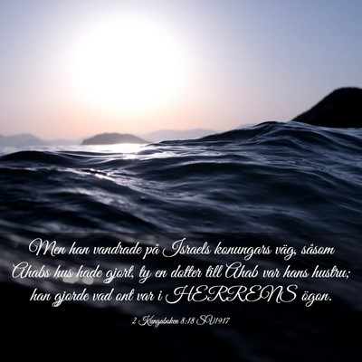 Picture 03 - 2 Kungaboken 8:18 SV1917 - Men han vandrade på Israels konungars väg, - Bible Verse Picture