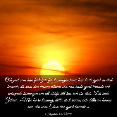 Picture 03 - 2 Kungaboken 8:5 SV1917 - Och just som han förtäljde för konungen huru - Bible Verse Picture