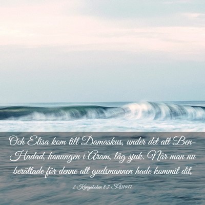 Picture 03 - 2 Kungaboken 8:7 SV1917 - Och Elisa kom till Damaskus, under det att - Bible Verse Picture