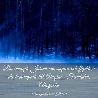 Picture 03 - 2 Kungaboken 9:23 SV1917 - Då svängde Joram om vagnen och flydde, i det - Bible Verse Picture