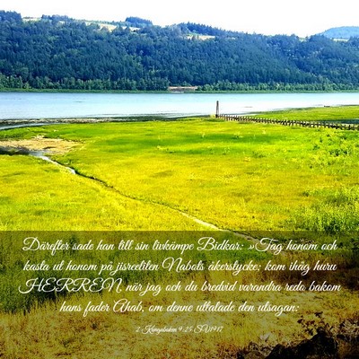 Picture 03 - 2 Kungaboken 9:25 SV1917 - Därefter sade han till sin livkämpe Bidkar: - Bible Verse Picture