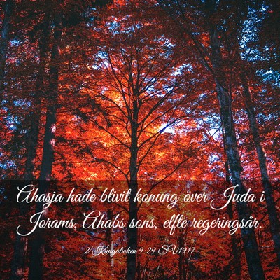 Picture 03 - 2 Kungaboken 9:29 SV1917 - Ahasja hade blivit konung över Juda i Jorams, - Bible Verse Picture