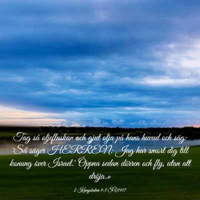 Picture 03 - 2 Kungaboken 9:3 SV1917 - Tag så oljeflaskan och gjut olja på hans huvud - Bible Verse Picture