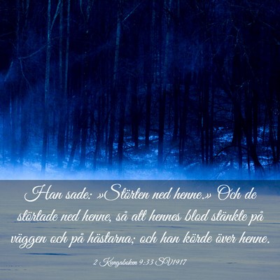 Picture 03 - 2 Kungaboken 9:33 SV1917 - Han sade: »Störten ned henne.» Och de - Bible Verse Picture