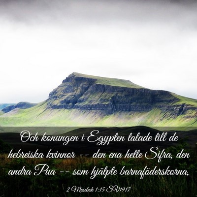 Picture 03 - 2 Mosebok 1:15 SV1917 - Och konungen i Egypten talade till de hebreiska - Bible Verse Picture