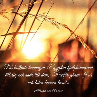 Picture 03 - 2 Mosebok 1:18 SV1917 - Då kallade konungen i Egypten hjälpkvinnorna - Bible Verse Picture