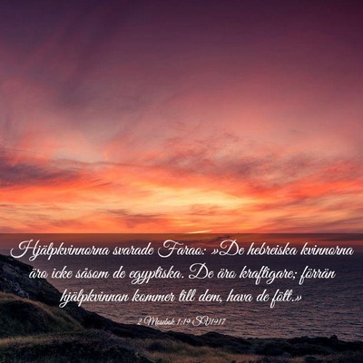 Picture 03 - 2 Mosebok 1:19 SV1917 - Hjälpkvinnorna svarade Farao: »De hebreiska - Bible Verse Picture