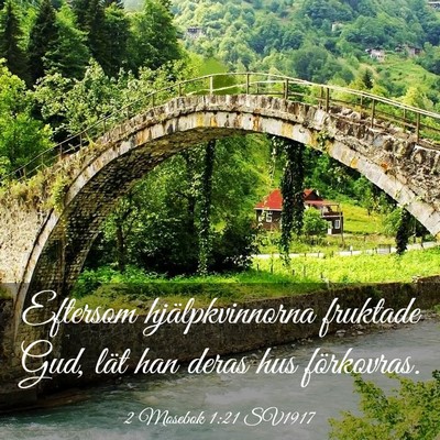 Picture 03 - 2 Mosebok 1:21 SV1917 - Eftersom hjälpkvinnorna fruktade Gud, lät han - Bible Verse Picture