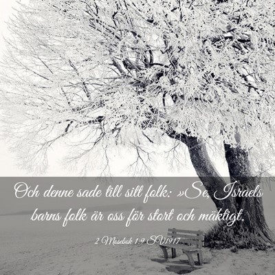 Picture 03 - 2 Mosebok 1:9 SV1917 - Och denne sade till sitt folk: »Se, Israels - Bible Verse Picture
