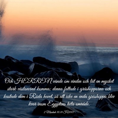 Picture 03 - 2 Mosebok 10:19 SV1917 - Och HERREN vände om vinden och lät en mycket - Bible Verse Picture