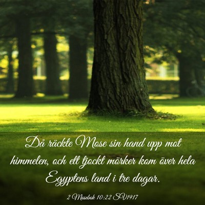 Picture 03 - 2 Mosebok 10:22 SV1917 - Då räckte Mose sin hand upp mot himmelen, och - Bible Verse Picture