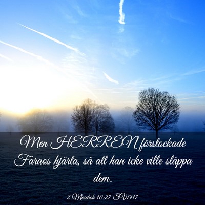 Picture 03 - 2 Mosebok 10:27 SV1917 - Men HERREN förstockade Faraos hjärta, så att - Bible Verse Picture