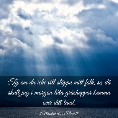 Picture 03 - 2 Mosebok 10:4 SV1917 - Ty om du icke vill släppa mitt folk, se, då - Bible Verse Picture