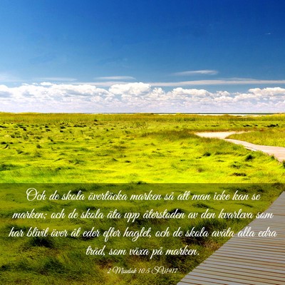 Picture 03 - 2 Mosebok 10:5 SV1917 - Och de skola övertäcka marken så att man icke - Bible Verse Picture