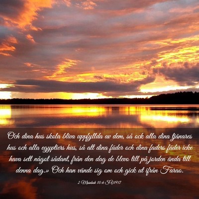 Picture 03 - 2 Mosebok 10:6 SV1917 - Och dina hus skola bliva uppfyllda av dem, så - Bible Verse Picture