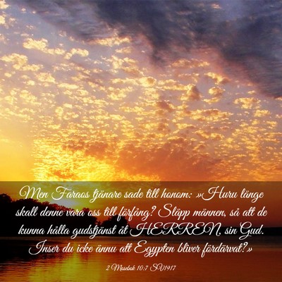Picture 03 - 2 Mosebok 10:7 SV1917 - Men Faraos tjänare sade till honom: »Huru - Bible Verse Picture