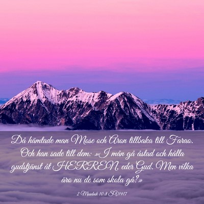 Picture 03 - 2 Mosebok 10:8 SV1917 - Då hämtade man Mose och Aron tillbaka till - Bible Verse Picture