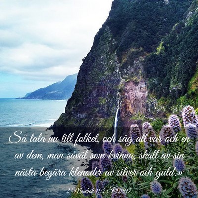 Picture 03 - 2 Mosebok 11:2 SV1917 - Så tala nu till folket, och säg att var och en - Bible Verse Picture