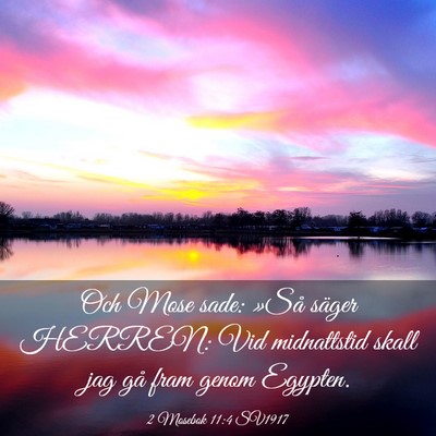 Picture 03 - 2 Mosebok 11:4 SV1917 - Och Mose sade: »Så säger HERREN: Vid - Bible Verse Picture