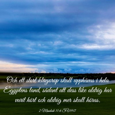 Picture 03 - 2 Mosebok 11:6 SV1917 - Och ett stort klagorop skall upphävas i hela - Bible Verse Picture