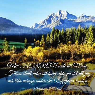 Picture 03 - 2 Mosebok 11:9 SV1917 - Men HERREN sade till Mose: »Farao skall neka att - Bible Verse Picture