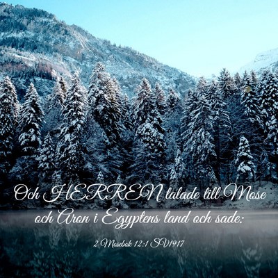 Picture 03 - 2 Mosebok 12:1 SV1917 - Och HERREN talade till Mose och Aron i Egyptens - Bible Verse Picture