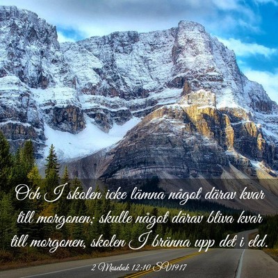 Picture 03 - 2 Mosebok 12:10 SV1917 - Och I skolen icke lämna något därav kvar till - Bible Verse Picture