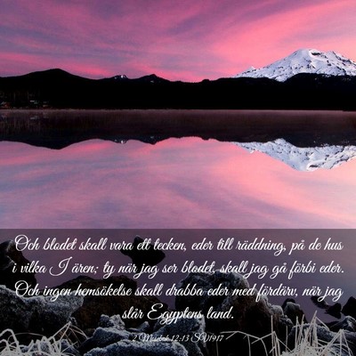Picture 03 - 2 Mosebok 12:13 SV1917 - Och blodet skall vara ett tecken, eder till - Bible Verse Picture