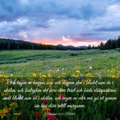 Picture 03 - 2 Mosebok 12:22 SV1917 - Och tagen en knippa isop och doppen den i blodet - Bible Verse Picture
