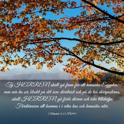 Picture 03 - 2 Mosebok 12:23 SV1917 - Ty HERREN skall gå fram för att hemsöka - Bible Verse Picture