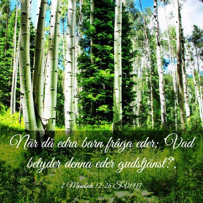 Picture 03 - 2 Mosebok 12:26 SV1917 - När då edra barn fråga eder: 'Vad betyder - Bible Verse Picture
