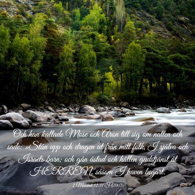 Picture 03 - 2 Mosebok 12:31 SV1917 - Och han kallade Mose och Aron till sig om natten - Bible Verse Picture