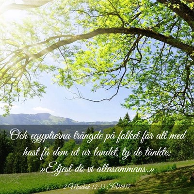 Picture 03 - 2 Mosebok 12:33 SV1917 - Och egyptierna trängde på folket för att med - Bible Verse Picture