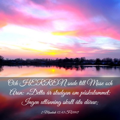 Picture 03 - 2 Mosebok 12:43 SV1917 - Och HERREN sade till Mose och Aron: »Detta är - Bible Verse Picture