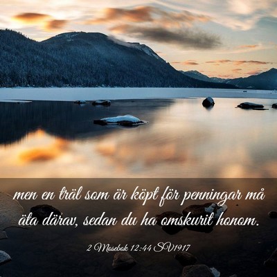 Picture 03 - 2 Mosebok 12:44 SV1917 - men en träl som är köpt för penningar må - Bible Verse Picture