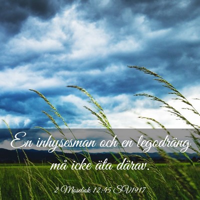 Picture 03 - 2 Mosebok 12:45 SV1917 - En inhysesman och en legodräng må icke äta - Bible Verse Picture