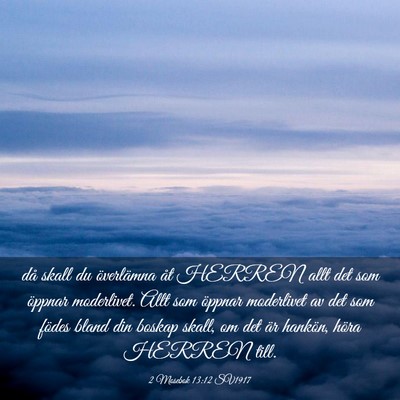 Picture 03 - 2 Mosebok 13:12 SV1917 - då skall du överlämna åt HERREN allt det som - Bible Verse Picture