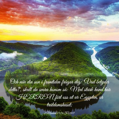 Picture 03 - 2 Mosebok 13:14 SV1917 - Och när din son i framtiden frågar dig: 'Vad - Bible Verse Picture