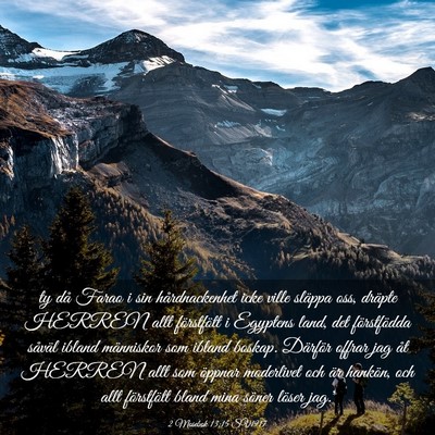 Picture 03 - 2 Mosebok 13:15 SV1917 - ty då Farao i sin hårdnackenhet icke ville - Bible Verse Picture