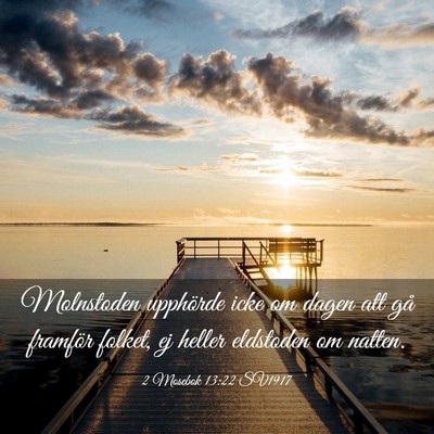 Picture 03 - 2 Mosebok 13:22 SV1917 - Molnstoden upphörde icke om dagen att gå - Bible Verse Picture