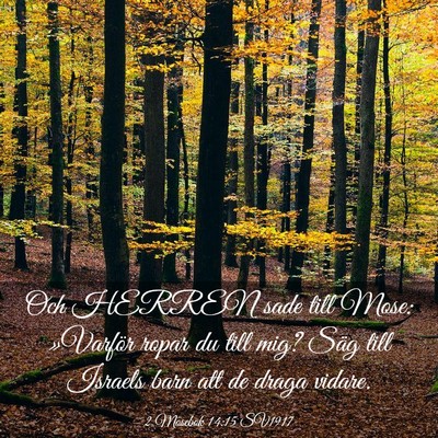 Picture 03 - 2 Mosebok 14:15 SV1917 - Och HERREN sade till Mose: »Varför ropar du - Bible Verse Picture
